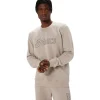 ASICS Hoodies en sweatshirts | Shirts met lange mouwen> SWEATSHIRT Moonrock/Graphite Grey