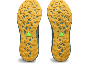 ASICS FUJI LITE™ | Trail running>FUJILITE 4 Black/Honey
