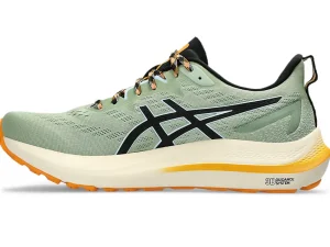 ASICS GT-2000™ | Hardlopen>GT-2000 12 TR Nature Bathing/Fellow Yellow