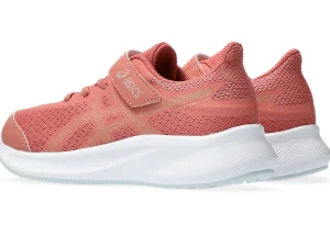 ASICS Verder hardlopen - neutral | Hardloopschoenen>PATRIOT 13 PS Light Garnet/Champagne